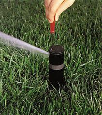 a Richardson TX Sprinkler Repair team member adjusts a hunter sprinkler head