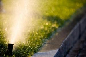 Sprinkler head overwaters and drenches walkway